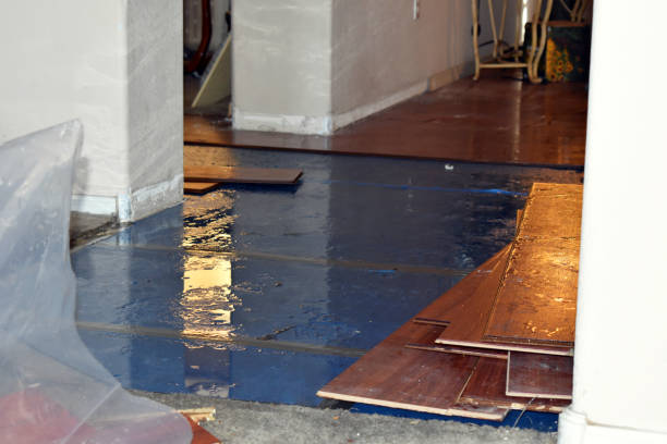 Professional Flood Cleanup technician working in Macedonia, IA